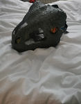 The Official Dino Pirate Group!