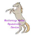 Buttercup Belle Equestrian Centre