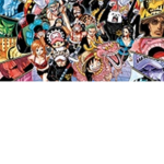One piece network