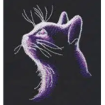 -|-WindClan-|-