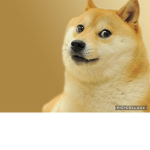 DOGGO’S ONLY