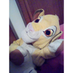Simba fan