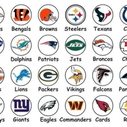NFL Hangout icon