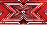 The X Factor Group®