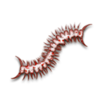 Worm · 湃