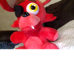 freddy and noRIP