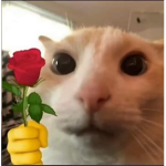 Holagentesita