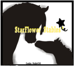 StarFlower Stables