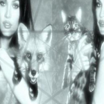 scenexe