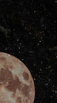 Stary life company