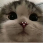 <3Sparkles<3