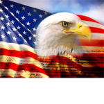 (USA)The Real United States Of America