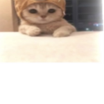 هلو ياحلًًًًًًًًًوًًًًًيًًًًًنًًًًًًًيًًًً
