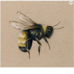 The Bee Hivee