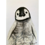 Penguin pup studios