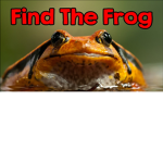 the frog finders