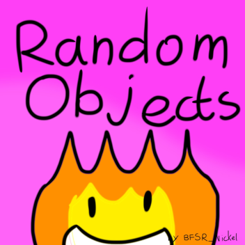 Random Objects