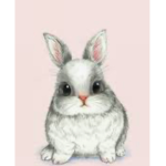ITSBUNNY FAN GROUP