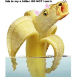 LISA GAMING HATE GROUP!