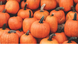 Preppy Halloween!