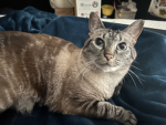 RobuxforLucyLoo