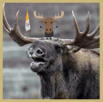 Moose church