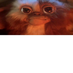 Gizmo gang
