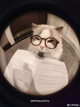 Milo_chanz