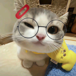 Kitty bestie:3