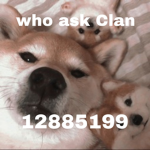 Who ask Clan