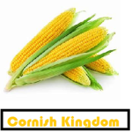Cornish Kingdom