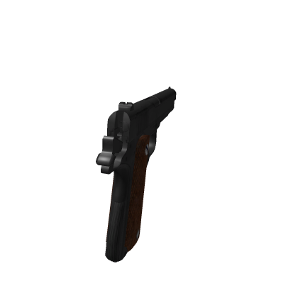 Pistol/M1911A1 R15 gun