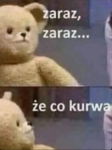cziterzy xd