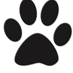 A group of wolves and dogs