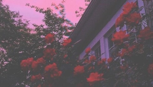 Peach Clothing™