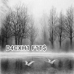 D4CXH1 F1T$