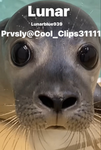 Cool_Clips31111