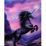 Girls and boys unicorn fam
