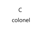 colonel security