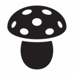 Mushroom Community