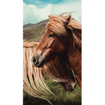 Horse naaa