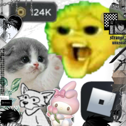 survive the peegargler the killer