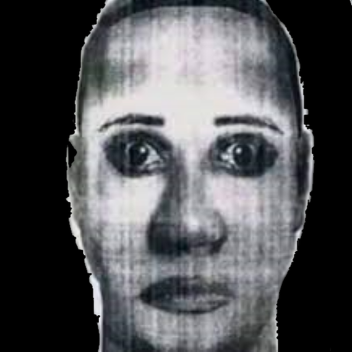 Selene Nextbot