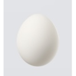 EGGS ONLY!!!!!!!!!!!!!!!