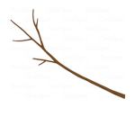 Sticks in the peaceful woods!