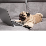 DONT TURN OF MY WIFI