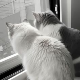 ♡