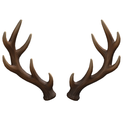 deer antlers