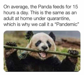 20 visits noob hangout limited event ...obby