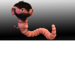 earthworm sally~cult